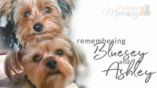 Remembering Bluesey & Ashley